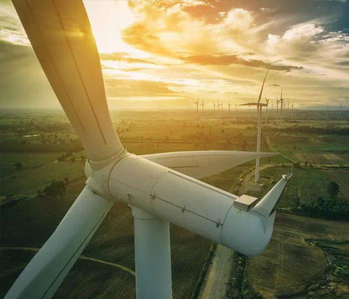 風力發(fā)電 清潔能源的潛力與挑戰(zhàn)